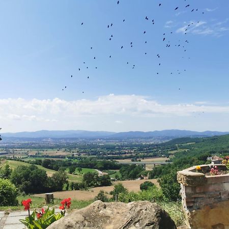 Al Podere del Nonno Romolo Sansepolcro Esterno foto
