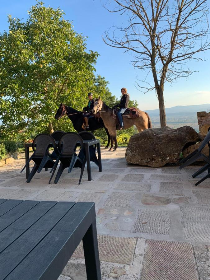 Al Podere del Nonno Romolo Sansepolcro Esterno foto
