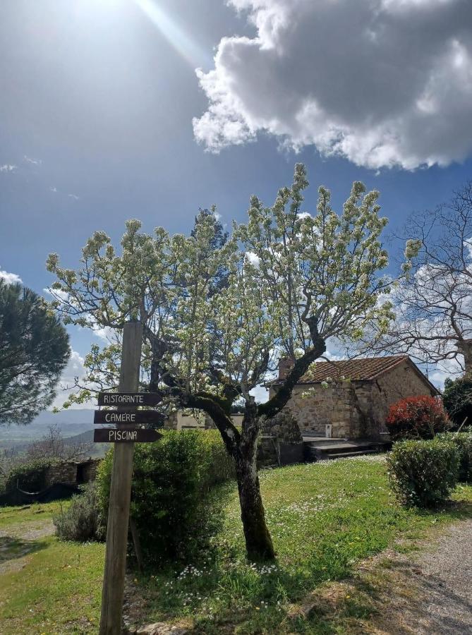Al Podere del Nonno Romolo Sansepolcro Esterno foto