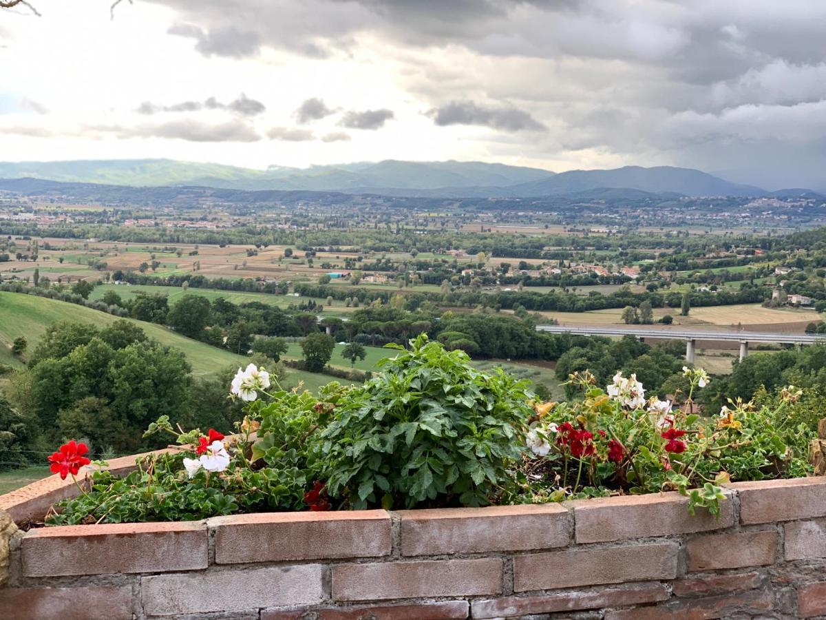 Al Podere del Nonno Romolo Sansepolcro Esterno foto