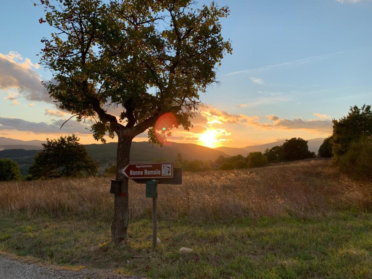 Al Podere del Nonno Romolo Sansepolcro Esterno foto